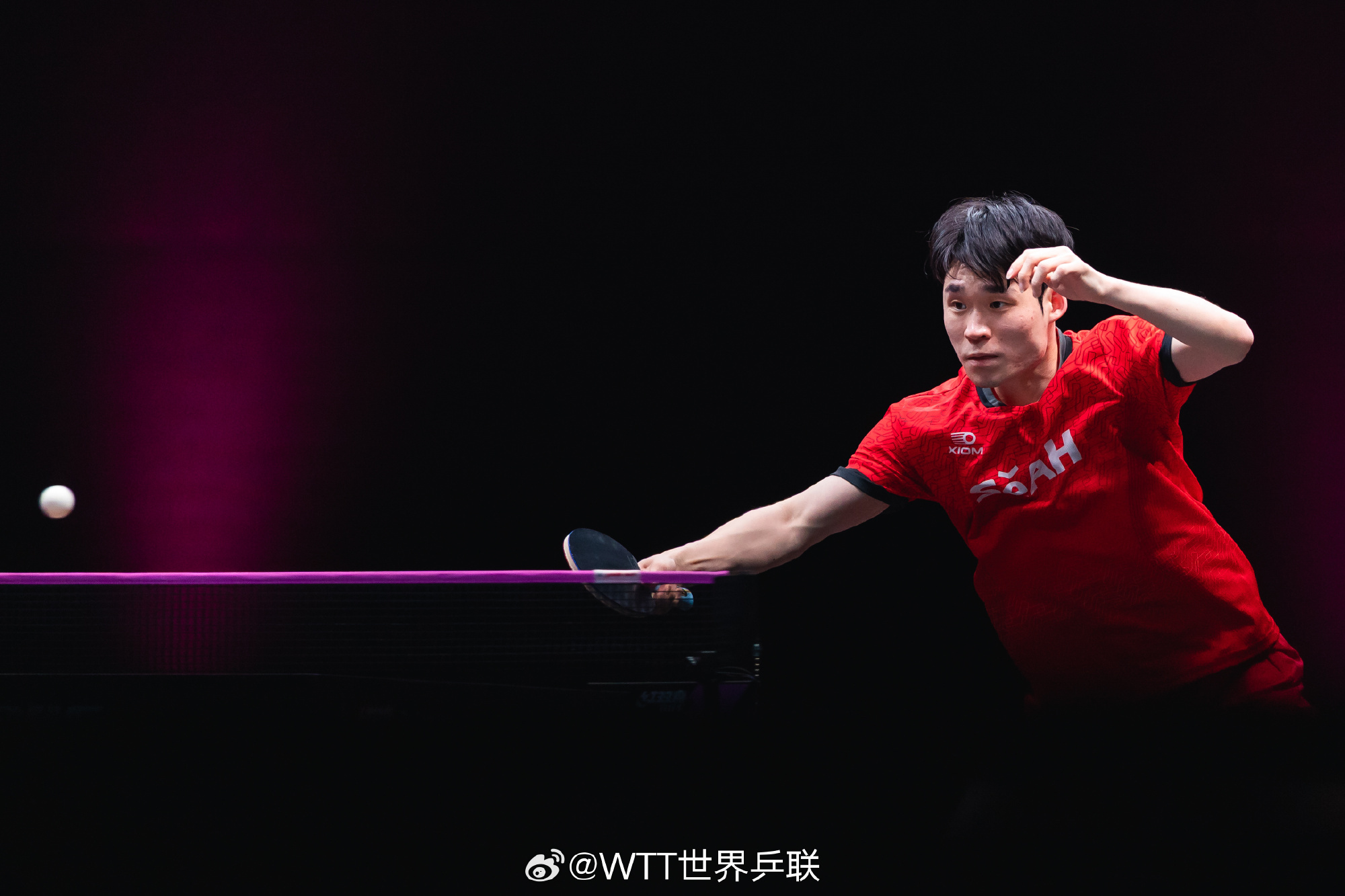 林詩棟2-4張禹珍止步四強！國乒無緣男單冠軍，陳幸同零封蒯曼 - 