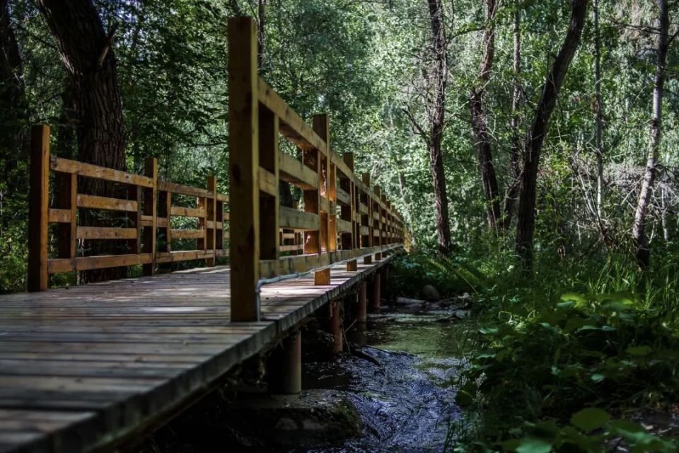 10 个阿勒泰人心目中的"我的阿勒泰"