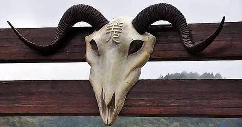 甲骨文的"屎"字火了,其实阉割的"阉"更形象,被伤害的是什么人?