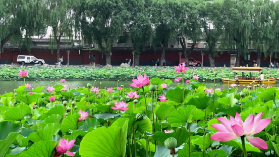 夏天天热，饮食讲究清淡、二清热、三祛湿，建议中老年人多喝这汤，安稳入夏