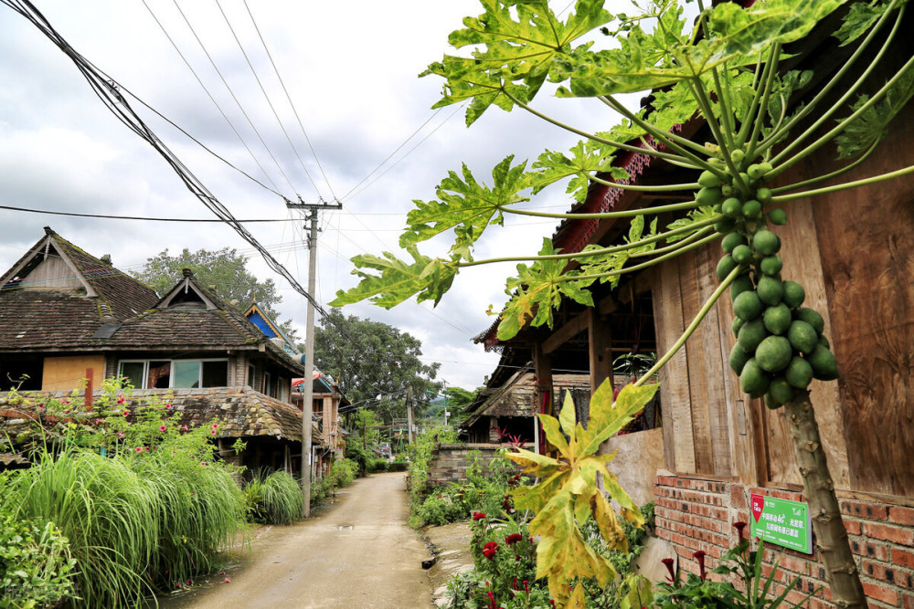 门票:免票交通:位于景洪市勐养镇,可自驾或包车,也可乘高铁到野象谷站