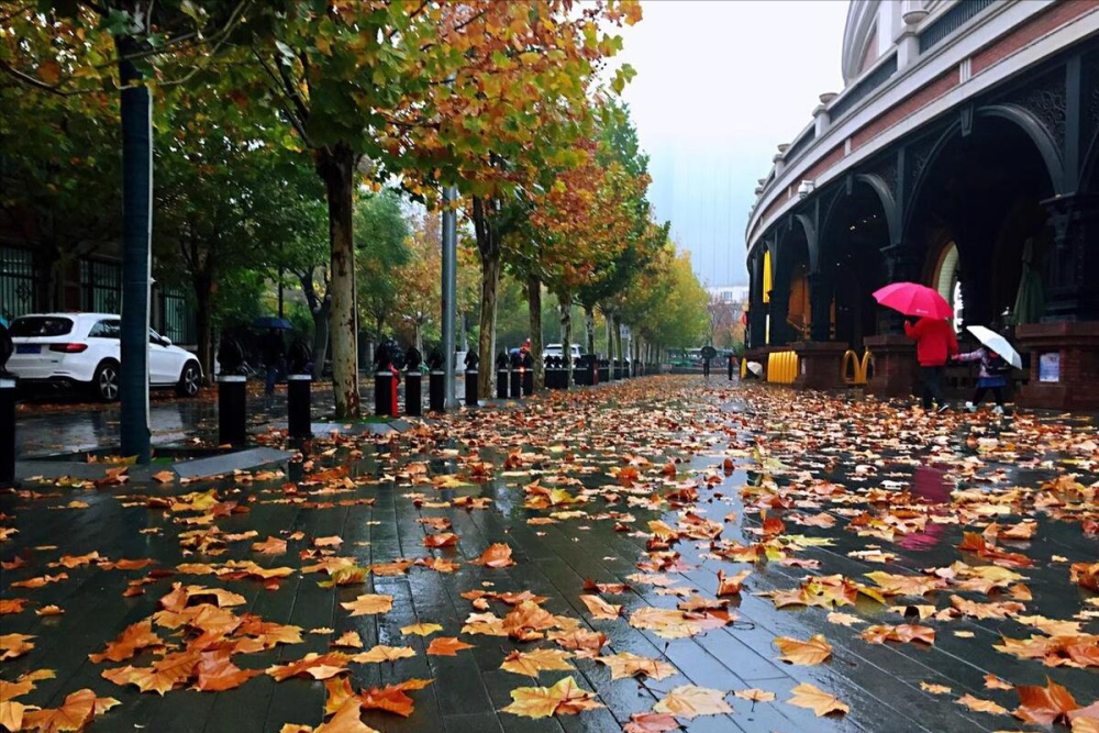 一半阴雨一半晴图片图片