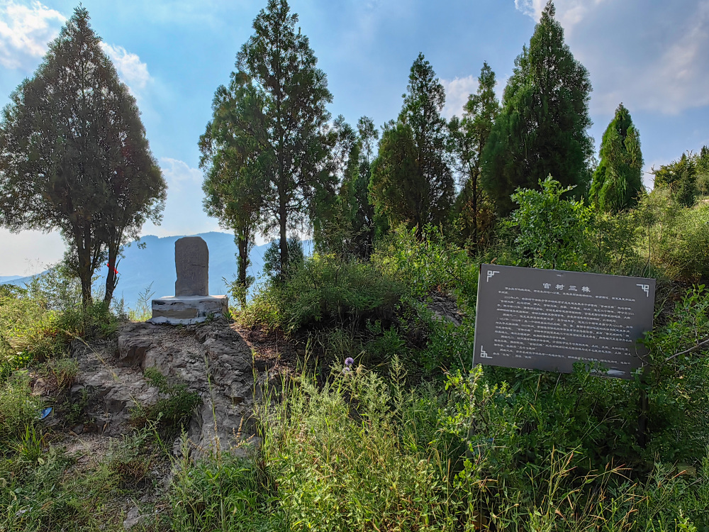 博山响泉村寻古,不只有流苏五月晴雪,还有长成北斗七星的古槐_腾讯