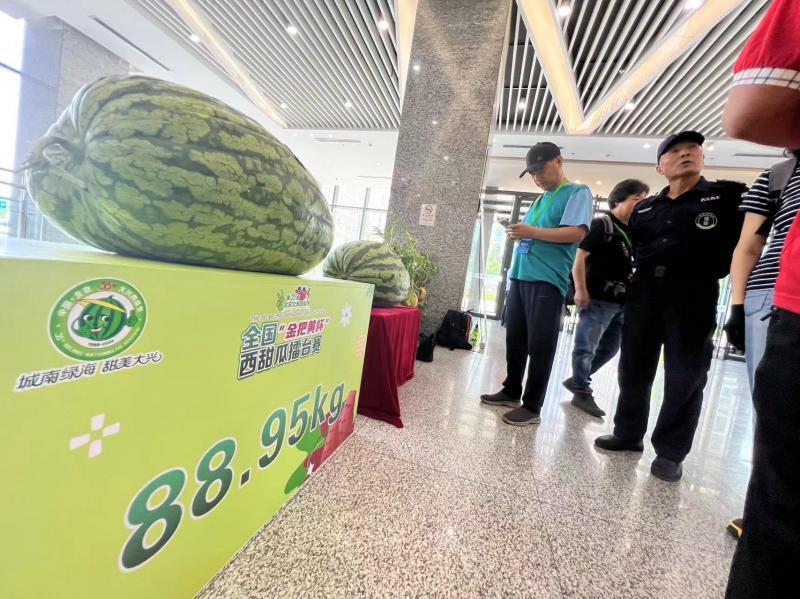 9斤!新"瓜王"亮相北京大兴西瓜节