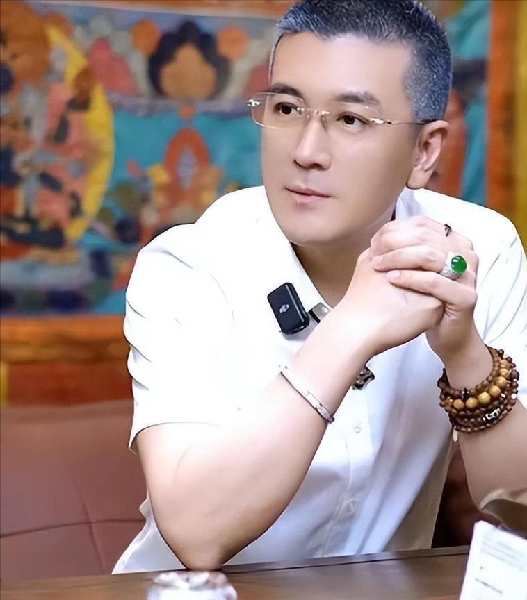 套现28亿仅冰山一角 杨子新欢曝光 正式立案 难怪黄圣依要离婚