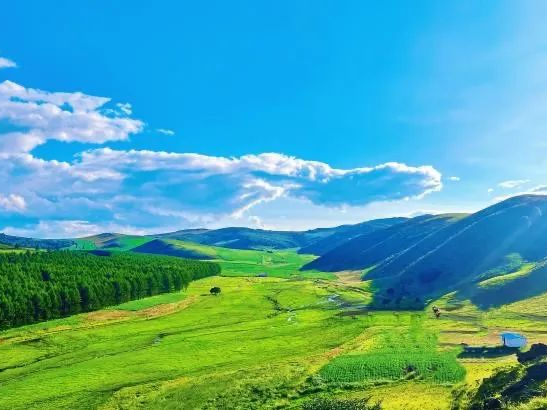 明水or绿水 阿尔山森林草原近在咫尺