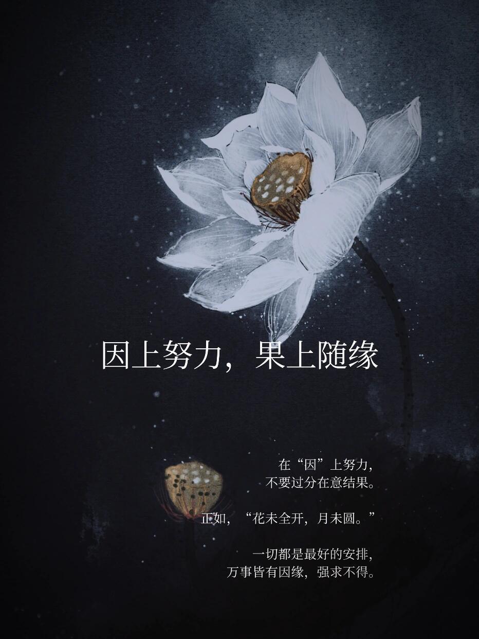 因上努力，果上随缘-腾讯新闻