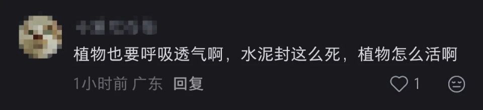 广州一人行道树池泥土表面被水泥封死，网友：“封这么死，植物怎么活？”街道办事处：具体原因正在核查_腾讯新闻