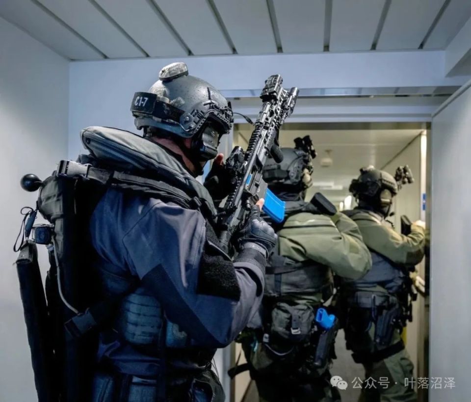 关于荷兰特别干预队dsi的部分事实陈述