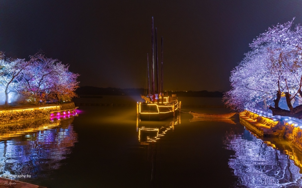 无锡太湖鼋头渚璀璨夜樱_腾讯新闻