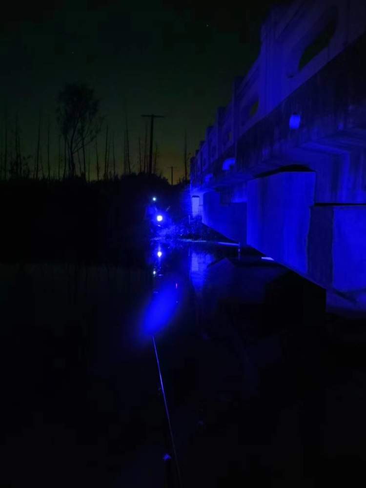 夜钓季来了,魔都夜钓族:一天工作的疲惫都释放在夜