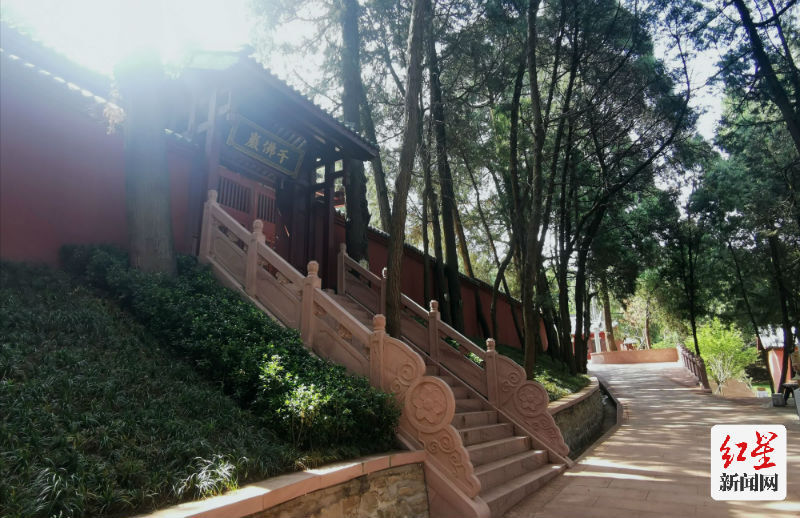 时代光影 百部川扬|梓潼卧龙山千佛岩乡村石窟公园预计6月开放