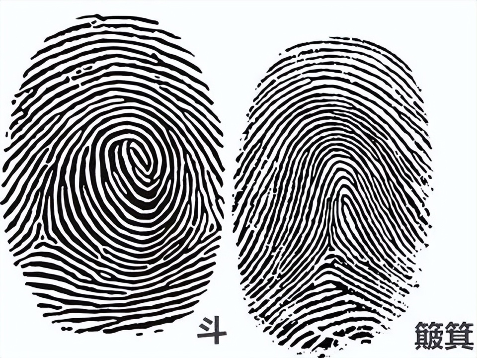 一斗穷二斗富指纹真能预知命运吗你的手上有几个斗呢