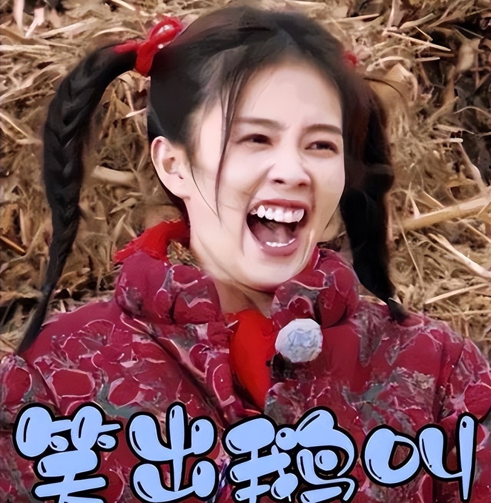 秦岚碎嘴子,孟子义傻大妞:综艺中的女明星为什么都变成了喜剧人?