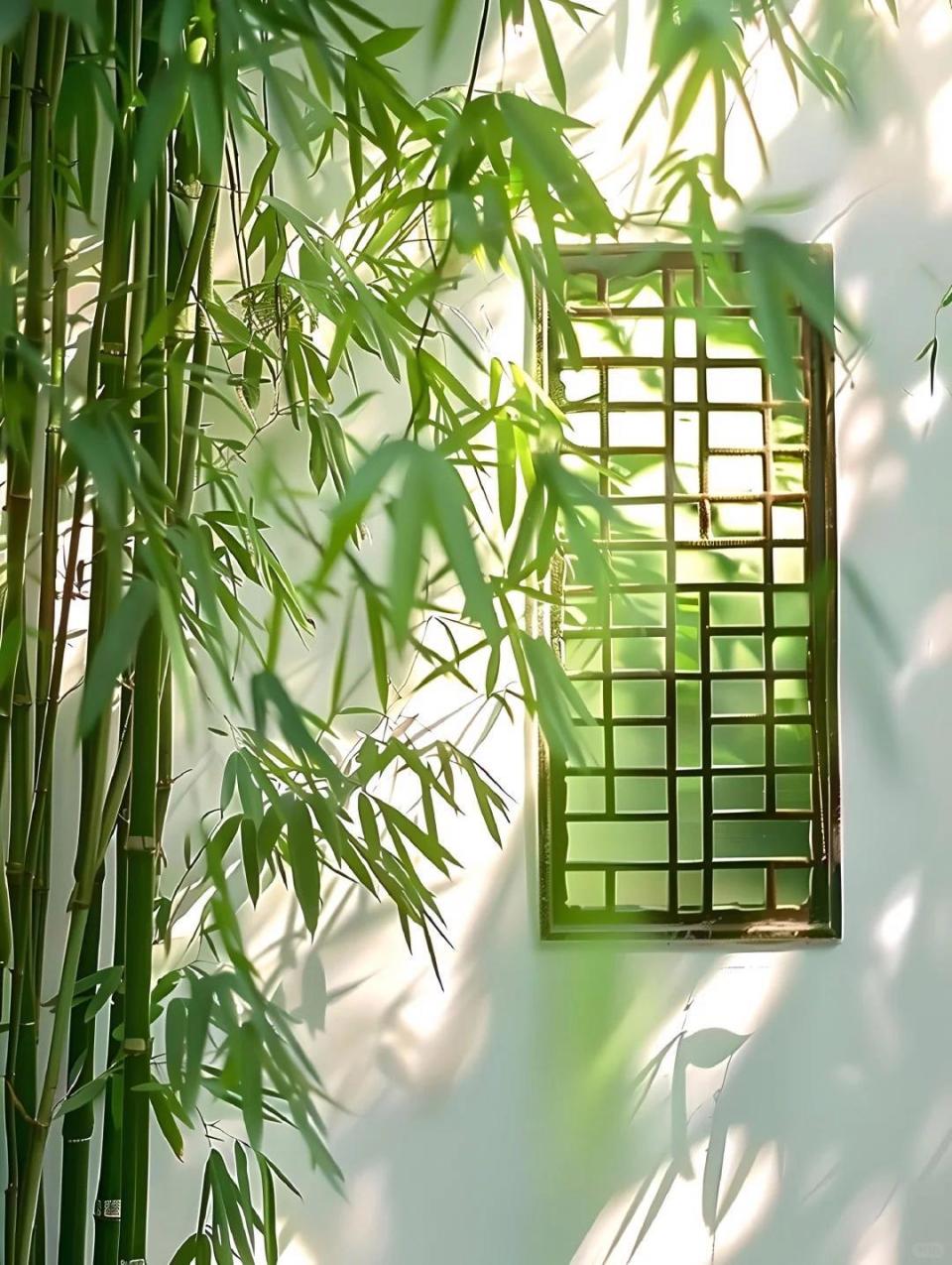 苍苍竹林寺,杳杳钟声晚.36句竹林美景诗句:所到之处明净透彻