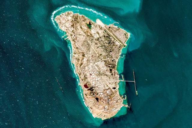 ������ľ�Ⱦ�ս����������