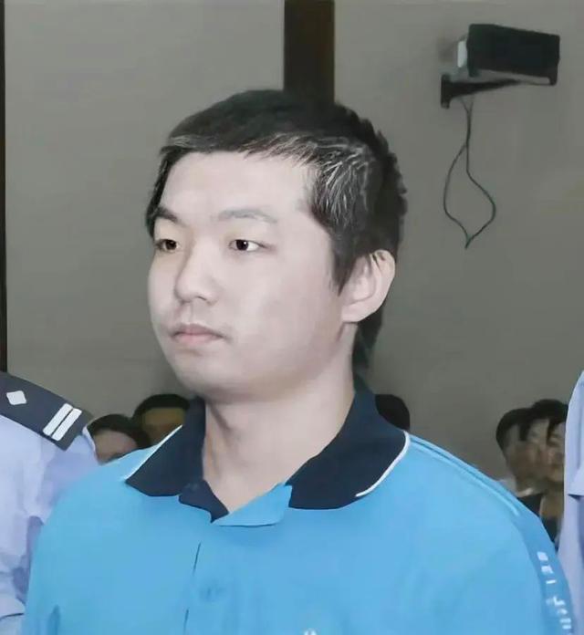 纪实杨佳袭警案北京小伙对执法不满手拿剔骨刀砍死6位民警