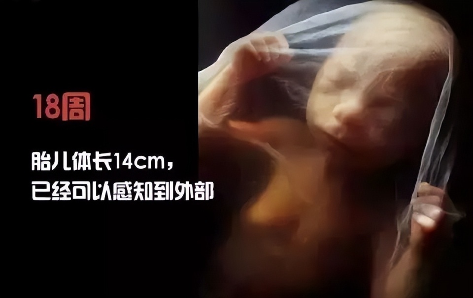 一个婴儿诞生的全过程，14张高清图带你了解，感叹新生命的力量_腾讯新闻