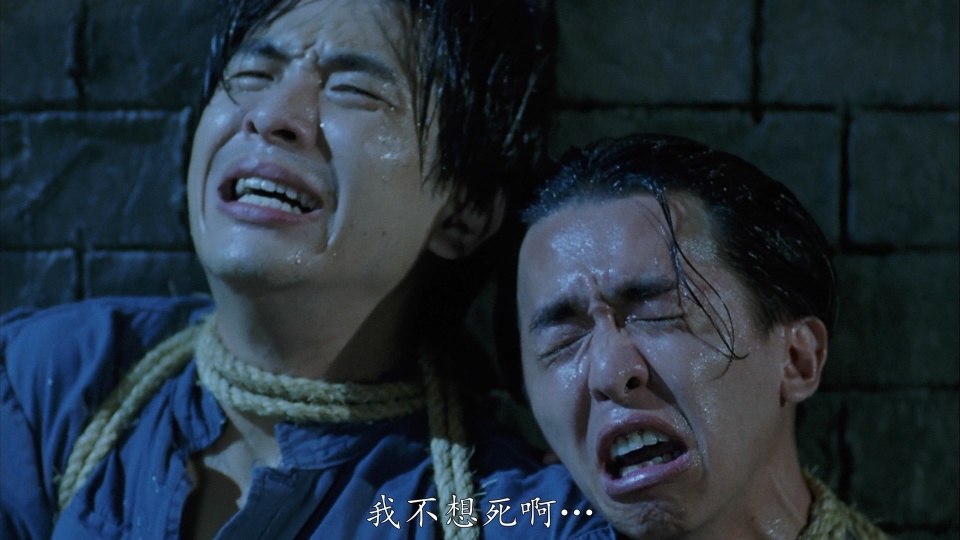 演出过《醉打金枝》《西游记》《皆大欢喜》《烈火雄心》《封神榜》等