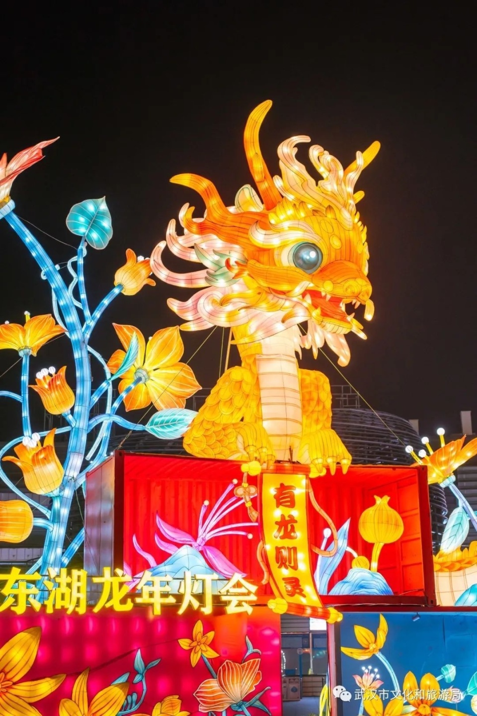 武汉龙年灯会来了