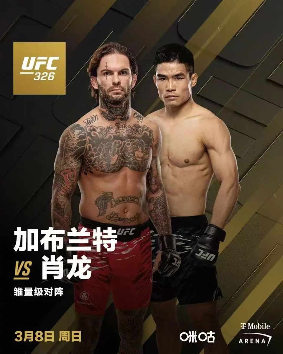 又一位中国力量决战UFC前冠军！_腾讯新闻