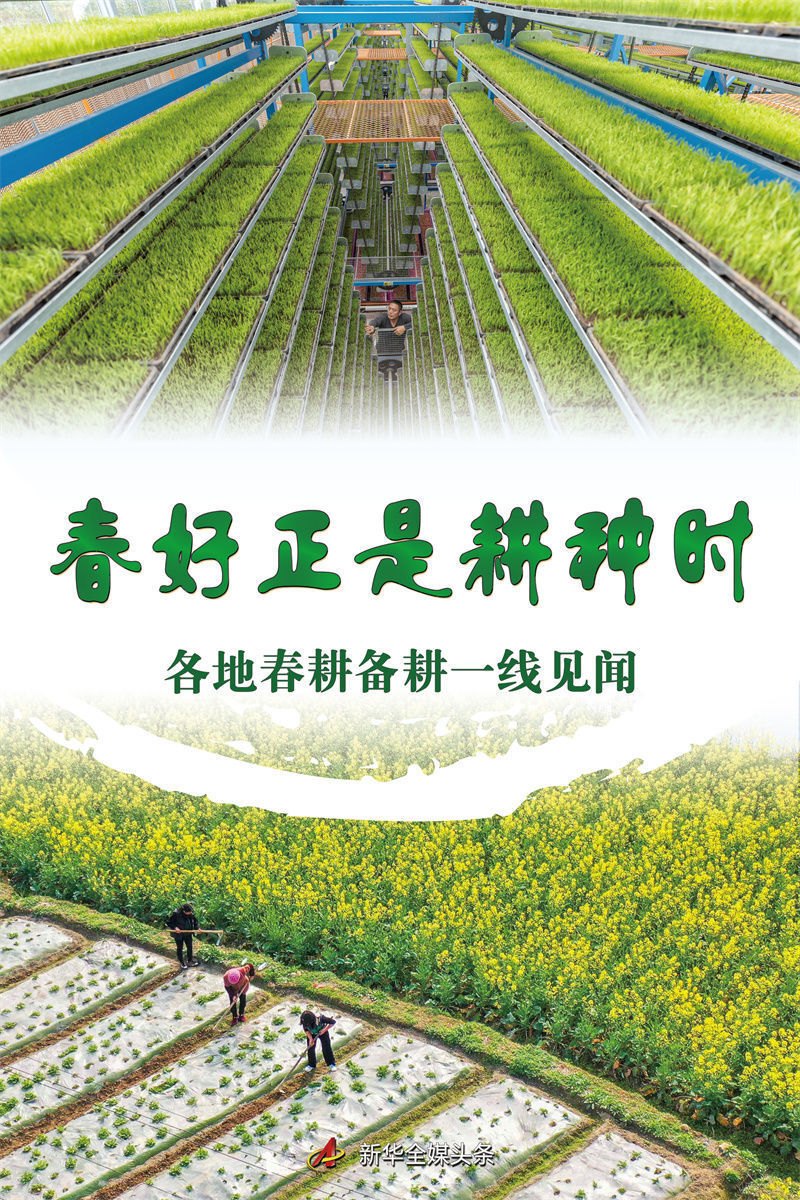 春好正是耕种时——各地春耕备耕一线见闻_腾讯新闻