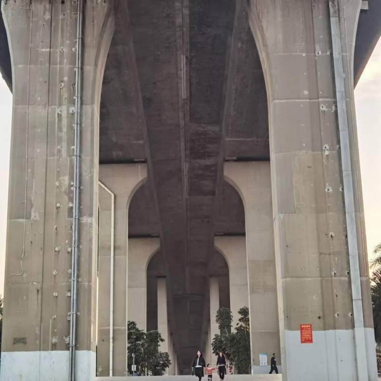 湛江过大年 | 海湾大桥.第一长滩_腾讯新闻