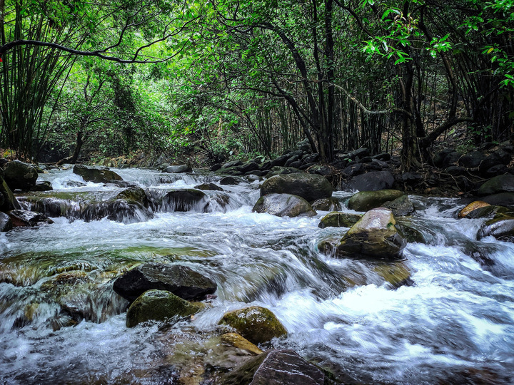 一得斋记|一条清澈见底的小溪
