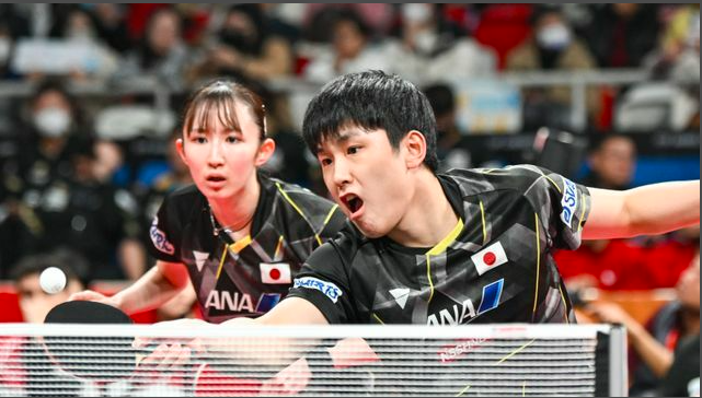 平野美宇,张本美和都是右撇子,不过,日乒也不是没有把早田希娜放进来