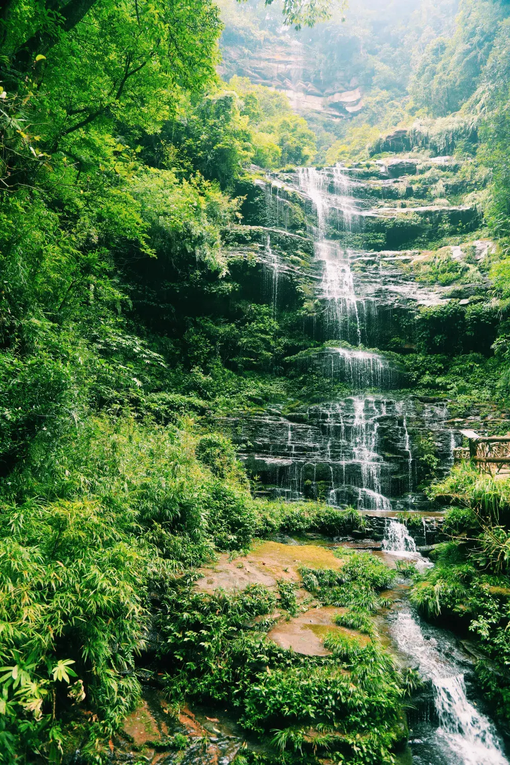 夏天风景图野外图片