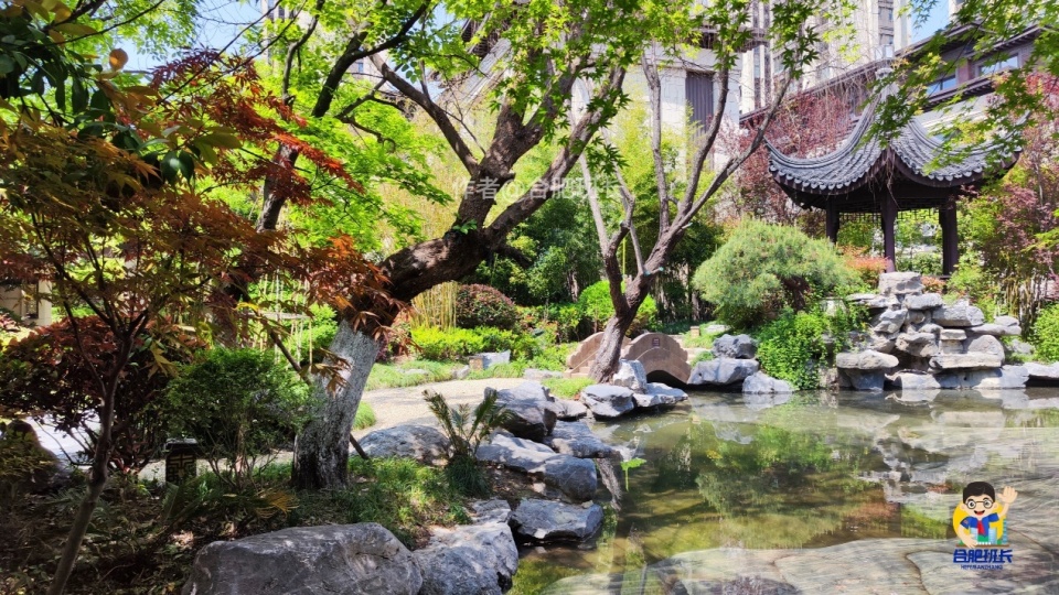 因大门而闻名,建发在合肥的成名之作,实探建发雍龙府!