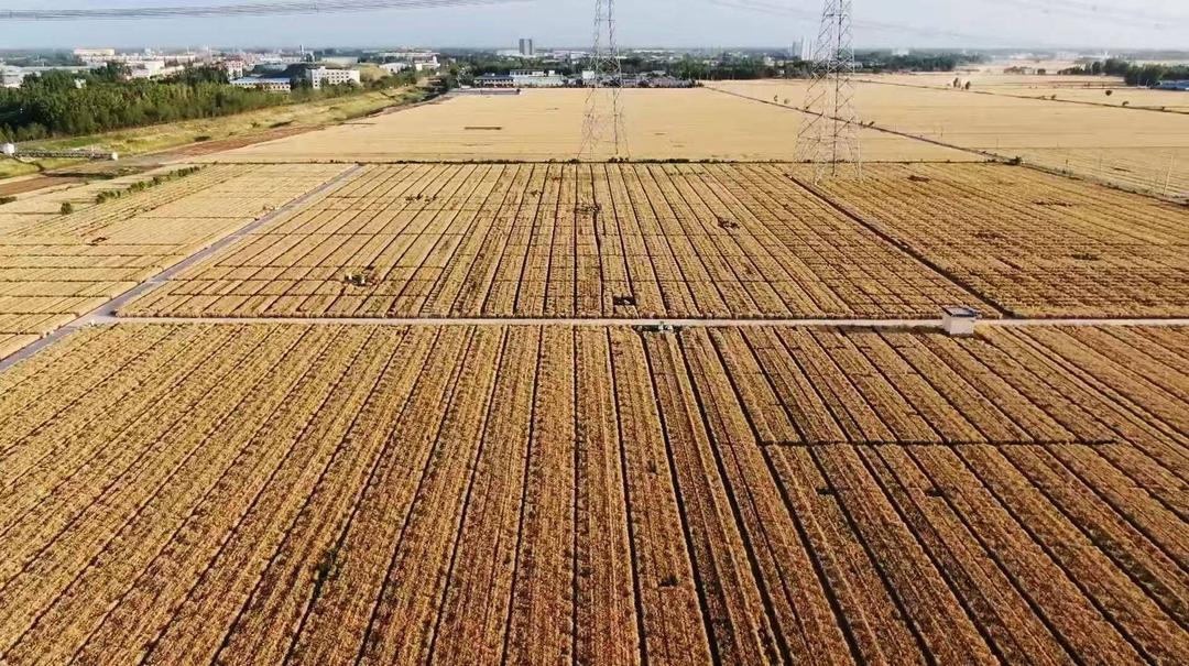 向新向好向未來，為您展望2030年的山東 - 