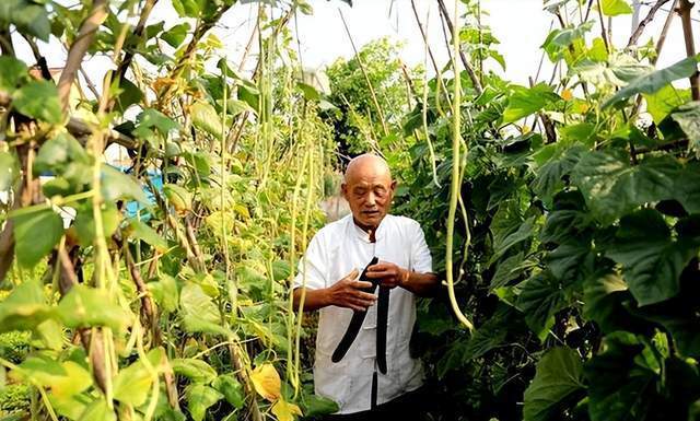 60后大爷每天凌晨5点直播玩五子棋日收入过千