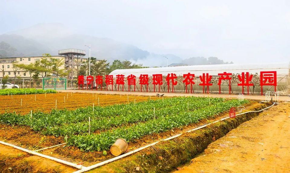 在种植区认一认,公园里按季节种植油菜花田,稻蔬等轮作作物,看看小