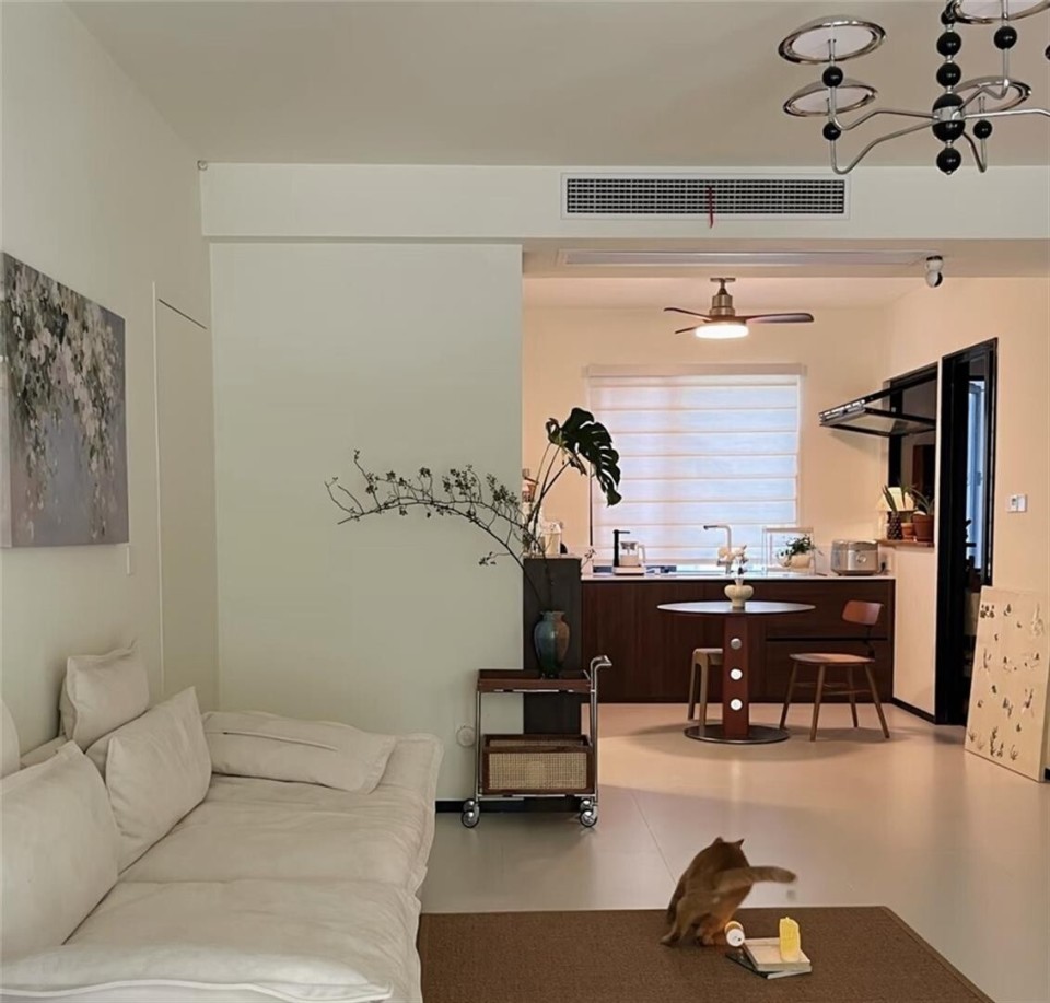 武汉姑娘的去客厅化装修火了，不买电视放书架，住出了平层感_腾讯新闻