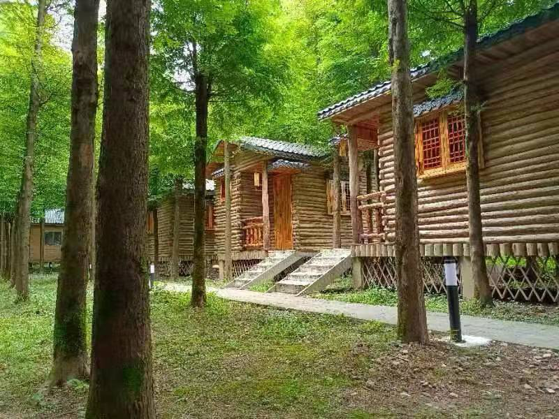 助力农家乐与乡村民宿发展 重庆开展沉浸式,点对点帮扶