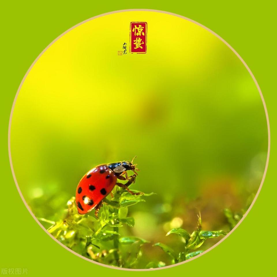 "惊蛰",惊即惊醒的意思;蛰表示藏的意思.