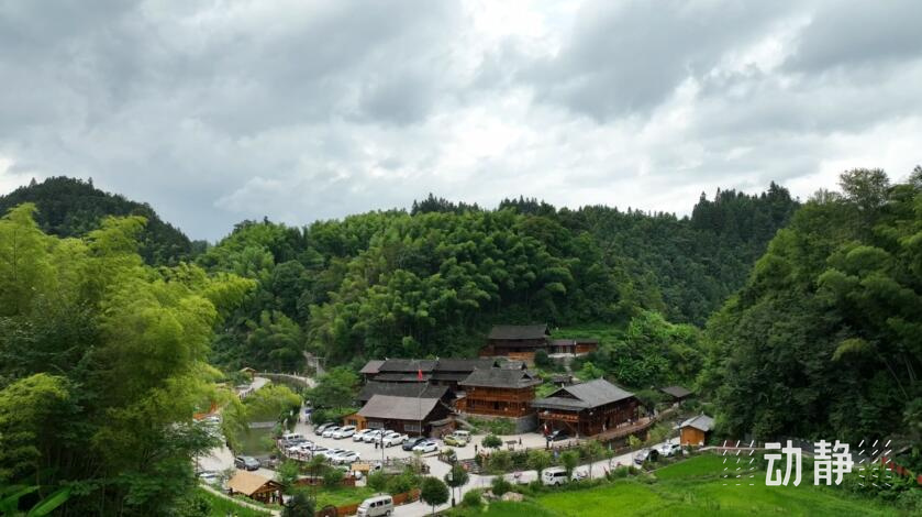 天柱：研学＋清凉避暑游火爆，接待超150万人次_腾讯新闻