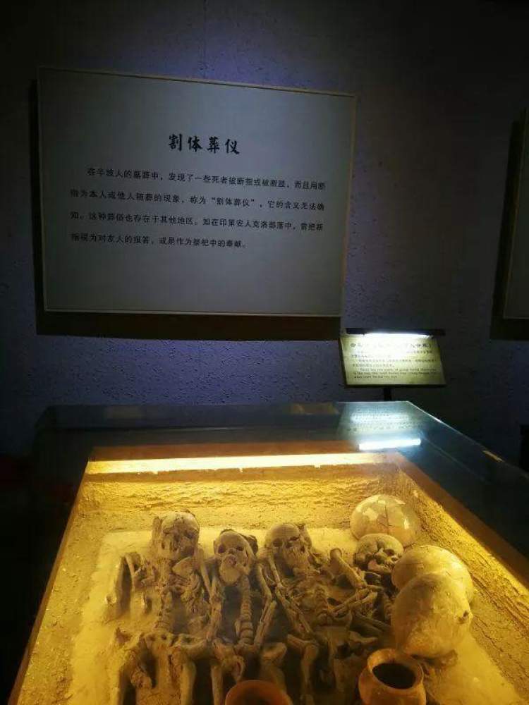 游西安半坡博物馆感慨