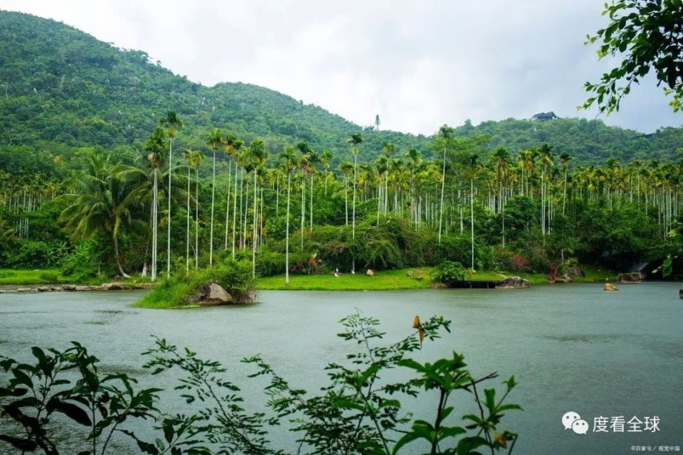 呀诺达热带雨林景点介绍,探秘海南呀诺达雨林,领略热带雨林魅力_腾讯