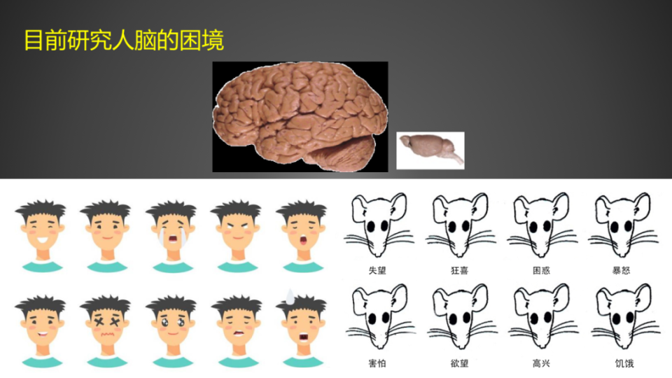 包爱民:致敬"无语良师",建设人脑组织库,存下未来的希望