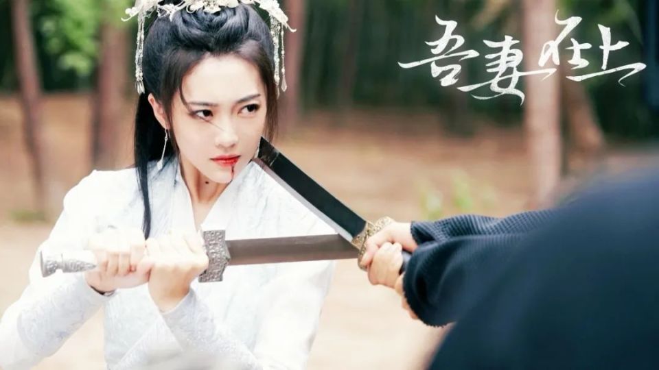 一口气看20集，越看越上瘾，女将军与文弱公子先婚后爱_腾讯新闻