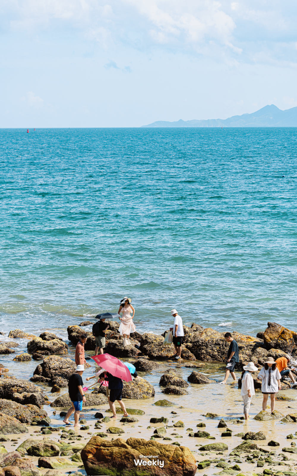 深圳赶海鄙视链:入门挖贝摸螺,高阶实现海鲜自由