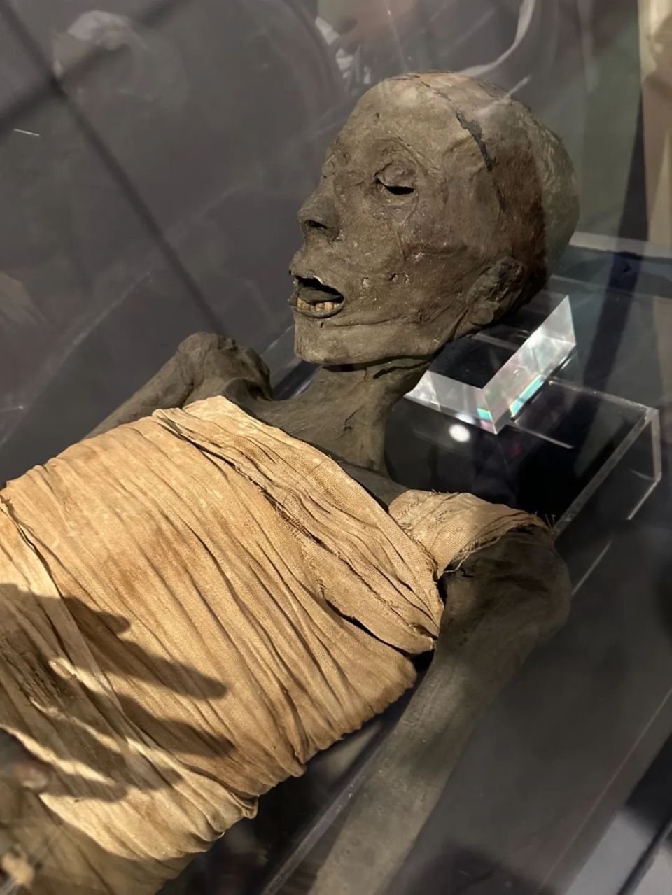 接下来,就是他们的镇馆之宝了,一具被称为usermontu的木乃伊,这具