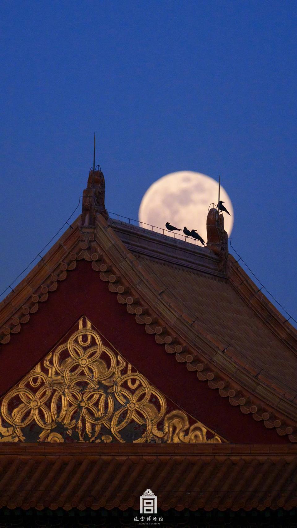 故宫月亮壁纸上新