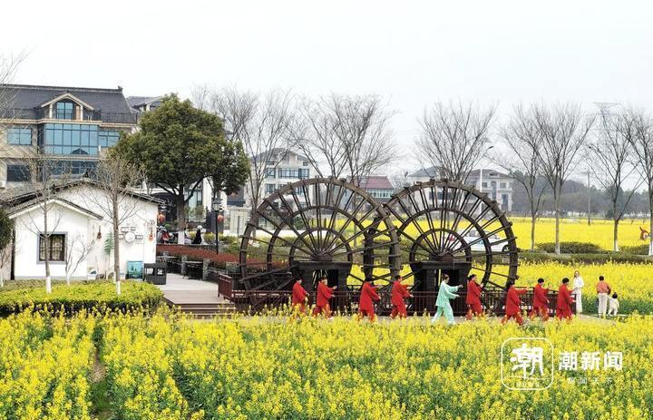 在嘉兴,看见城乡融合风景线_腾讯新闻