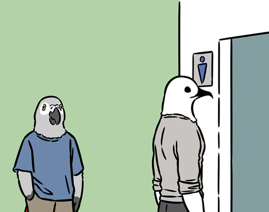 鸽子这哥们,倒是没有太多表情.另外海燕上厕所,选择的也是男士这一边.