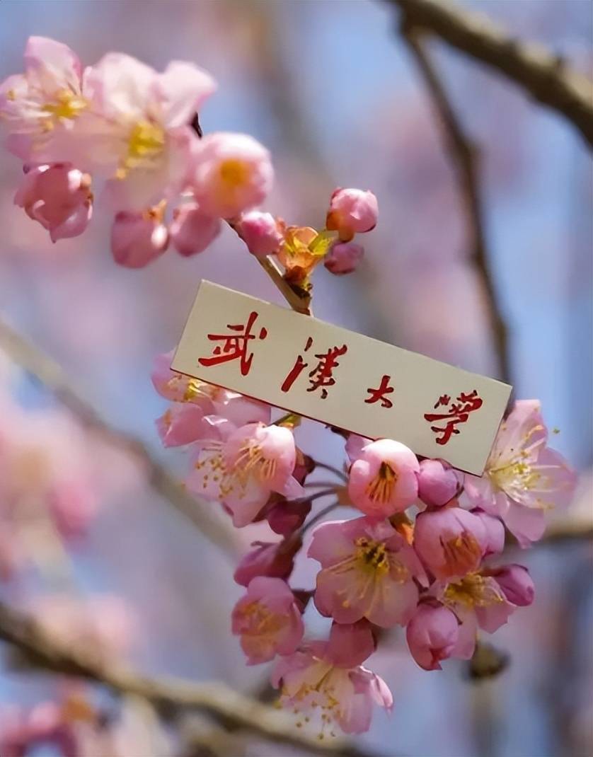 新增1个专业,武汉大学2024强基简章解读,录取分数及真题详析_腾讯新闻