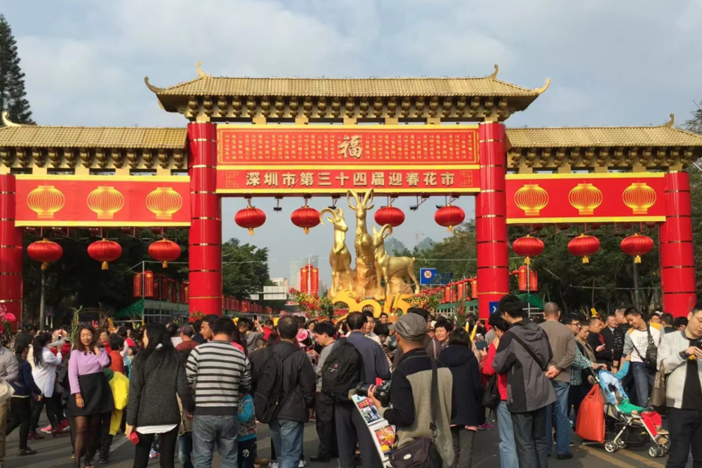 今天,爱国路花市正式重启!深圳人的年味和青春回来了!_腾讯新闻
