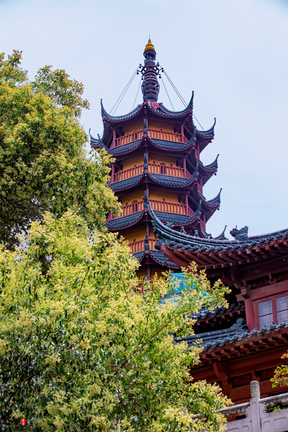 重庆金山寺 风景区图片